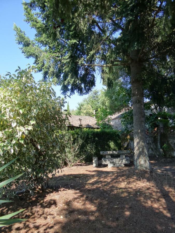 Affittacamere Museu Casa Aleixo Sernancelhe Esterno foto